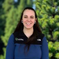 Dentist in Lacey WA