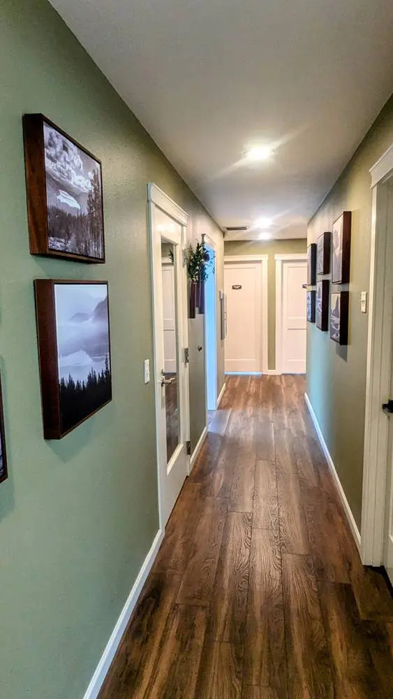 Dentist Near Me